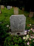 image of grave number 790395